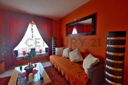 Cordillera, Región Metropolitana De Santiago 00001, Chile