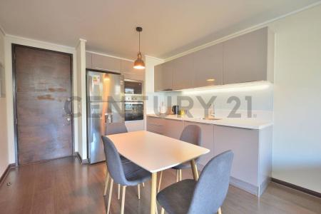 Santiago, Región Metropolitana De Santiago 00001, チリ