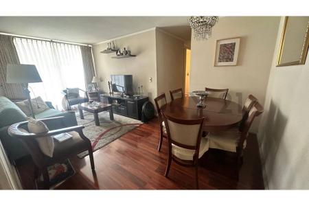 Santiago, Región Metropolitana De Santiago 00001, チリ