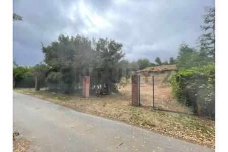 Concepción, Región Del Biobío 00001, 칠레