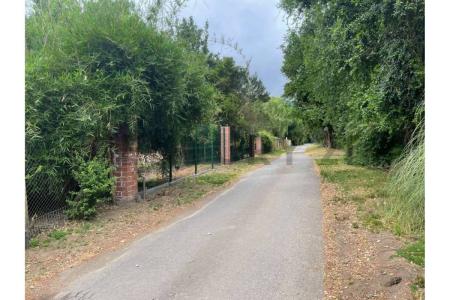 Concepción, Región Del Biobío 00001, 칠레