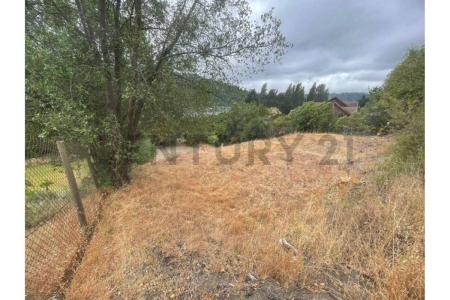 Concepción, Región Del Biobío 00001, 칠레