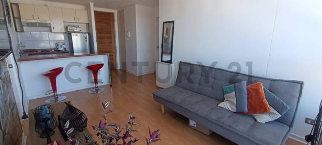 Concepción, Región Del Biobío 00001, Chile