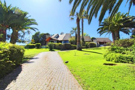 Elqui, Coquimbo 00001, Chile