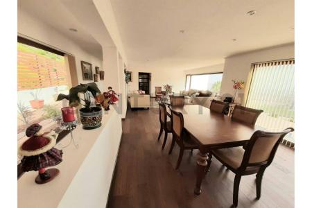 Elqui, Coquimbo 00001, Cile