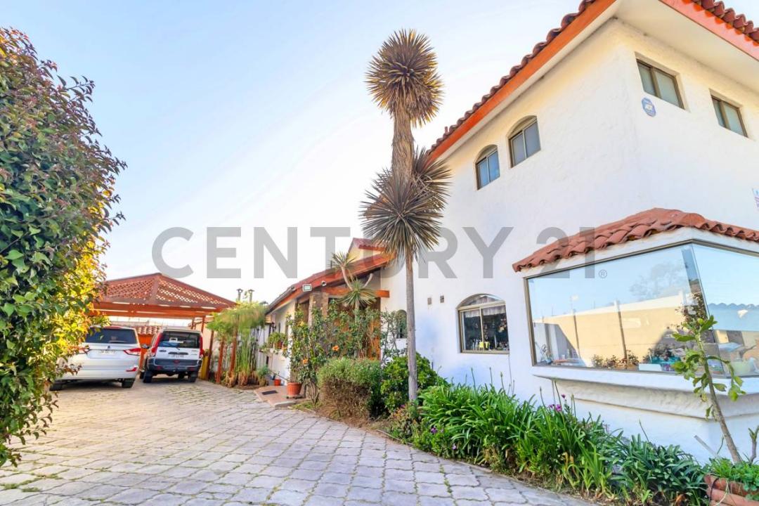 Elqui, Coquimbo 00001, Chile