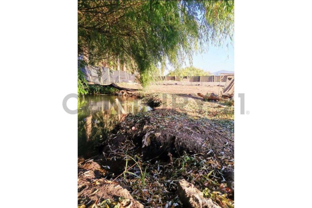 Cachapoal, Región Del Libertador Gral. Bernardo O’Higgins 00001, צ'ילה