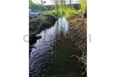 Cachapoal, Región Del Libertador Gral. Bernardo O’Higgins 00001, צ'ילה