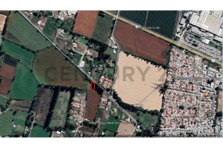 Cachapoal, Región Del Libertador Gral. Bernardo O’Higgins 00001, צ'ילה