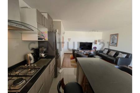 Calle Romulo J Peña, Condominio Las Palmas S/N°, Copiapó, Atacama 00001, Şili