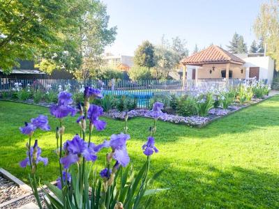 Santiago, Región Metropolitana De Santiago 00001, Chile