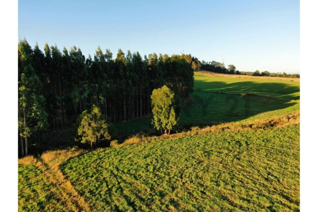 Llanquihue, Región De Los Lagos 00001, 칠레