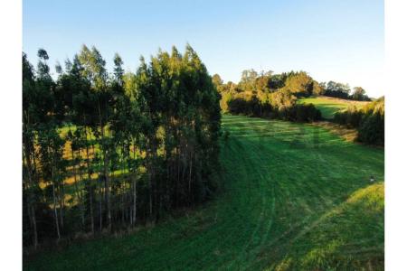 Llanquihue, Región De Los Lagos 00001, 칠레