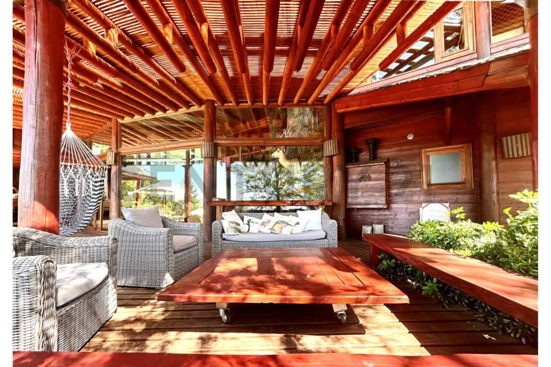 Cautín, Región De La Araucanía 00001, 智利