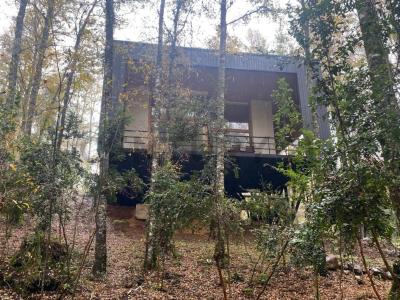 Cautín, Región De La Araucanía 00001, Chile