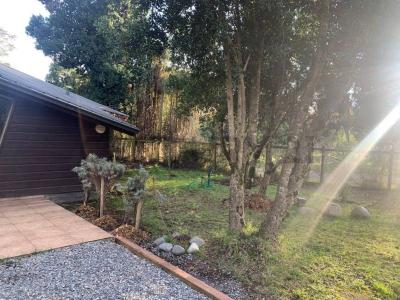 Cautín, Región De La Araucanía 00001, Chile