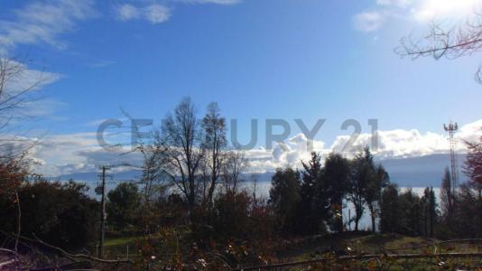 Cautín, Región de la Araucanía 00001, Chile