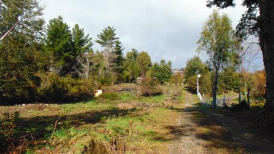 Cautín, Región De La Araucanía 00001, Chile