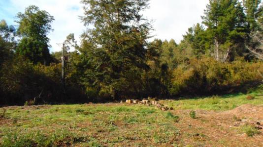 Cautín, Región De La Araucanía 00001, Chile