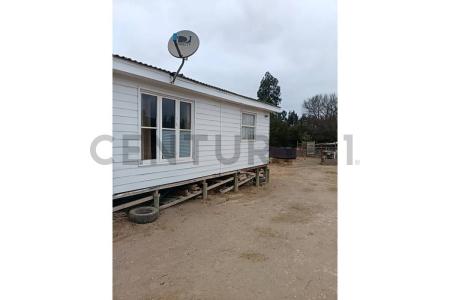 Elqui, Coquimbo 00001, Chi-Lê