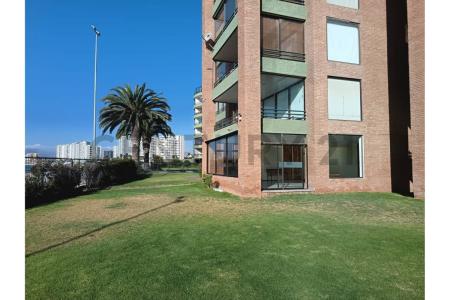 Elqui, Coquimbo 00001, 智利