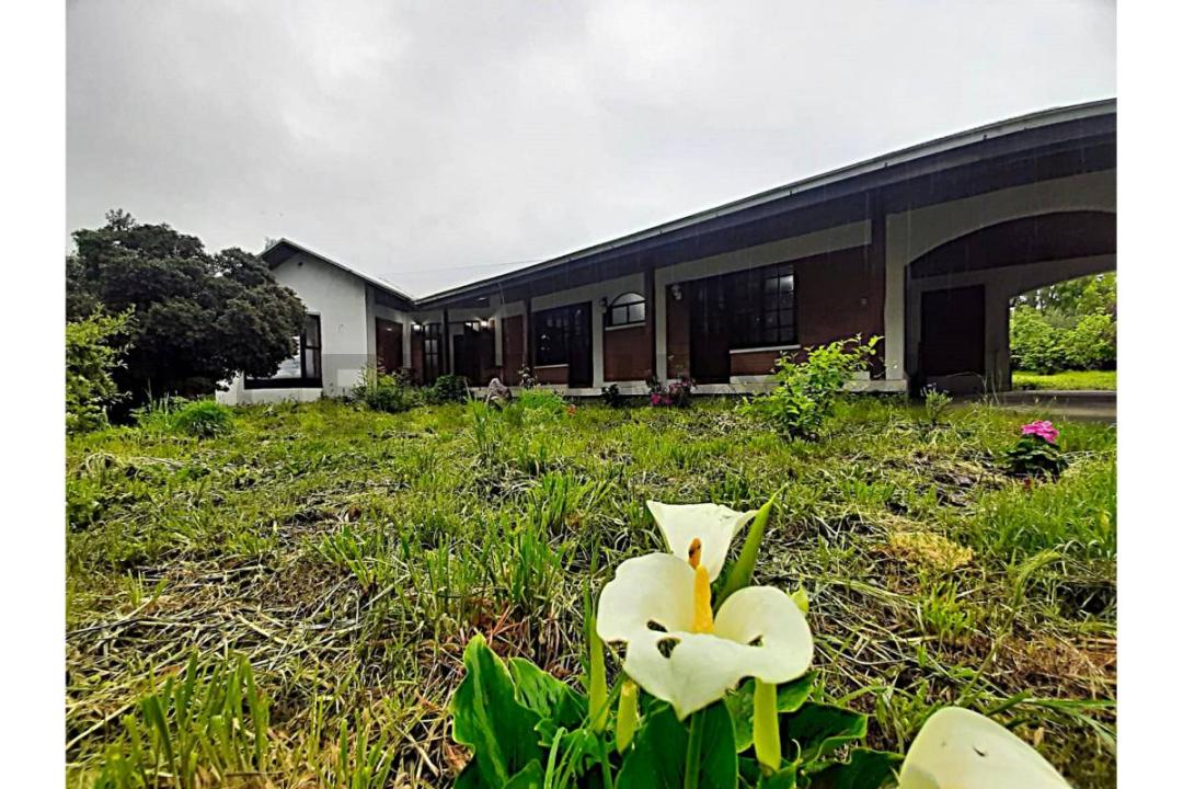 Diguillín, Región De Ñuble 00001, Chile