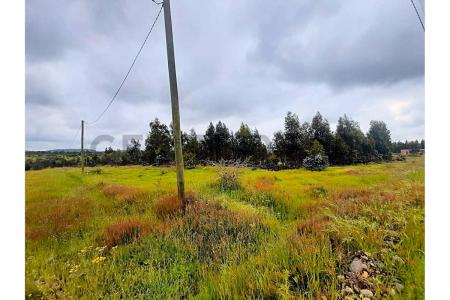 Punilla, Región De Ñuble 00001, Chile