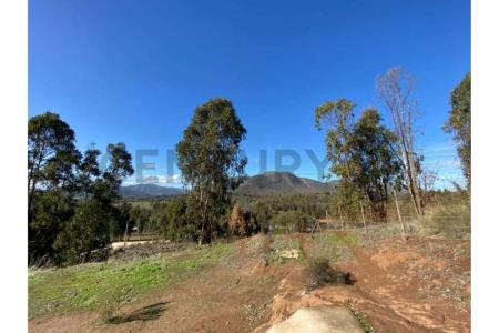 Valparaíso, Valparaíso 00001, Chile