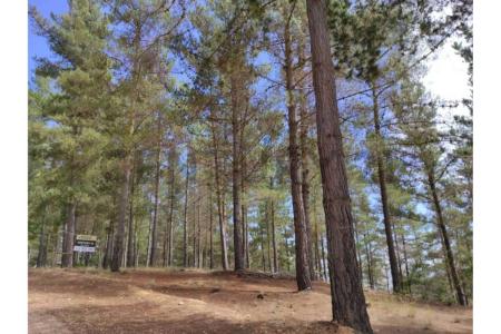 Valparaíso, Valparaíso 00001, Chile