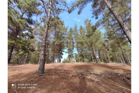 Valparaíso, Valparaíso 00001, Chile