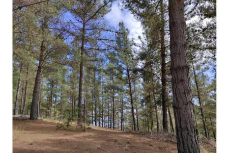 Valparaíso, Valparaíso 00001, Chile