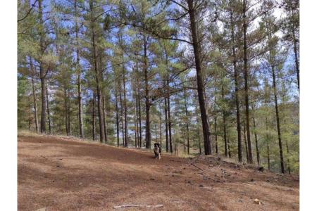Valparaíso, Valparaíso 00001, Chile