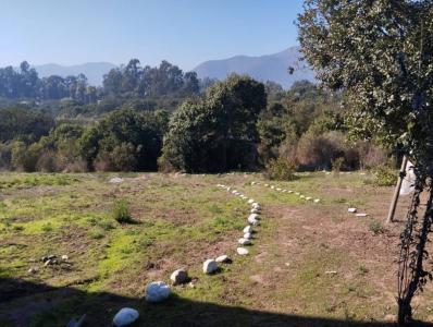 Valparaíso, Valparaíso 00001, Cile