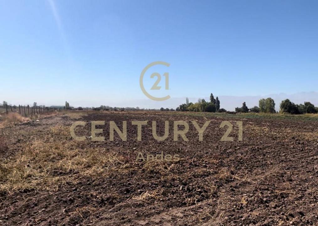 Chacabuco, Región Metropolitana De Santiago 00001, 智利