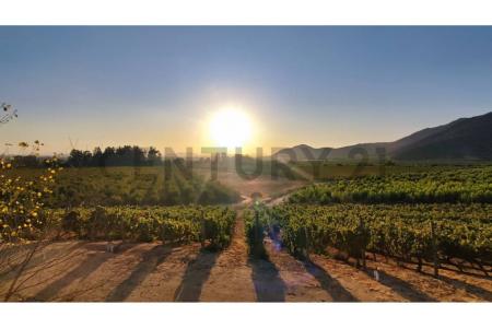 Cachapoal, Región Del Libertador Gral. Bernardo O’Higgins 00001, Şili