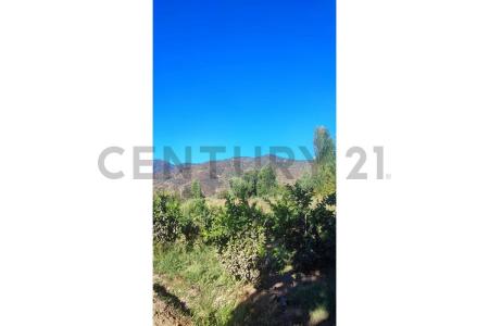 Cachapoal, Región Del Libertador Gral. Bernardo O’Higgins 00001, Şili