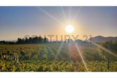 Cachapoal, Región Del Libertador Gral. Bernardo O’Higgins 00001, Şili