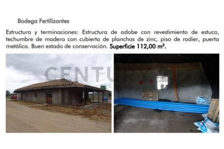 Curicó, Región Del Maule 00001, Chile