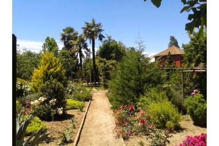 Curicó, Región Del Maule 00001, Chile