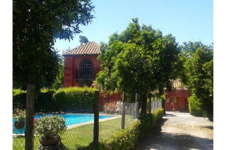 Curicó, Región Del Maule 00001, Chile