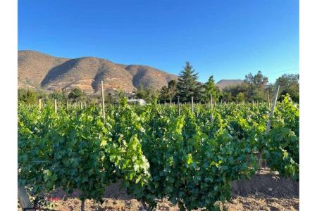 Curacaví, Región Metropolitana De Santiago 00001, Chile