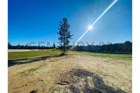 Valparaíso, Valparaíso 00001, Chile