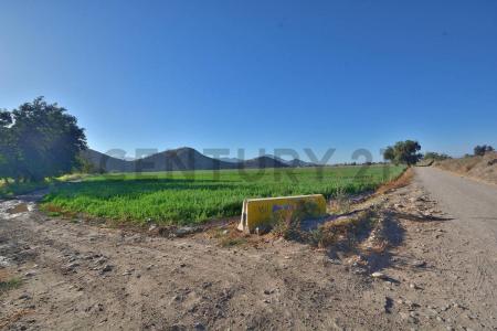 Santiago, Región Metropolitana De Santiago 00001, Chile