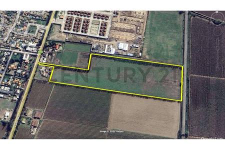 Cachapoal, Región del Libertador Gral. Bernardo O’Higgins 00001, Chile