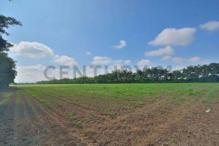 Cachapoal, Región Del Libertador Gral. Bernardo O’Higgins 00001, Şili