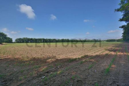 Cachapoal, Región Del Libertador Gral. Bernardo O’Higgins 00001, Şili