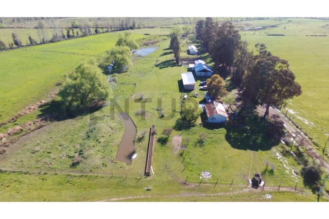 Punilla, Región De Ñuble 00001, Chile