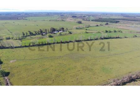 Punilla, Región De Ñuble 00001, Chile