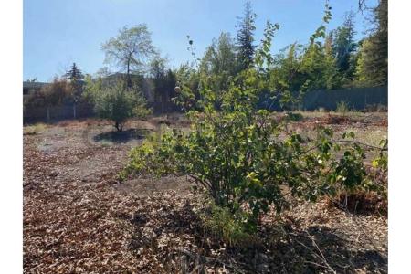 Santiago, Región Metropolitana De Santiago 00001, Chile