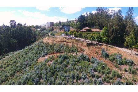 Concepción, Región Del Biobío 00001, Chili